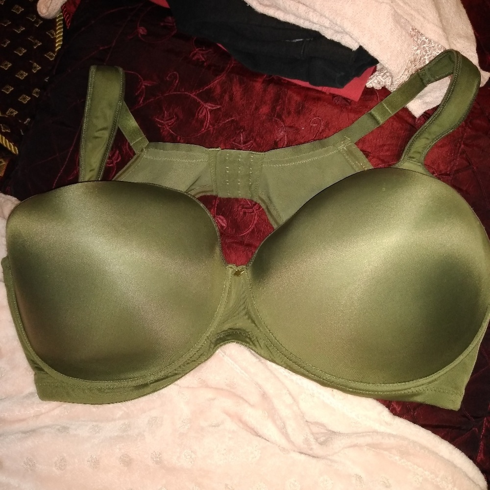 Ashley Stewart Butterfly Bra size 46G